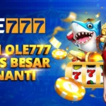 9 Jenis Permainan Seru di OLE777 yang Bikin Anda Betah Main Terus!